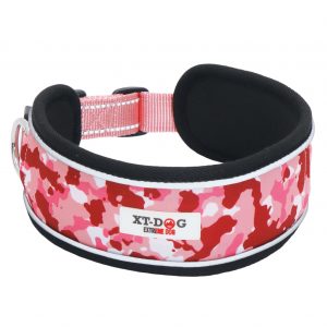 Collar ancho acolchado